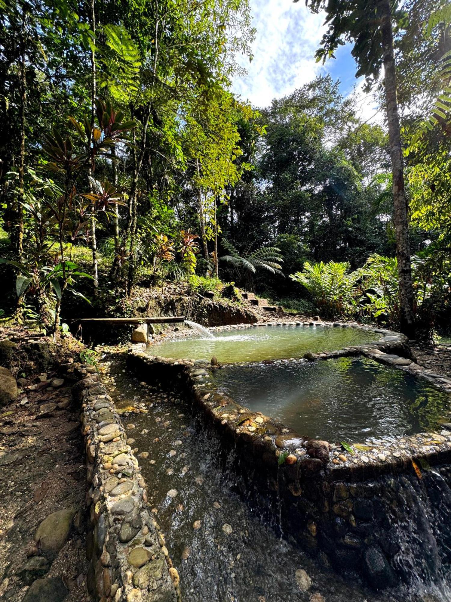 Wisdom Forest Lodge Tena Luaran gambar