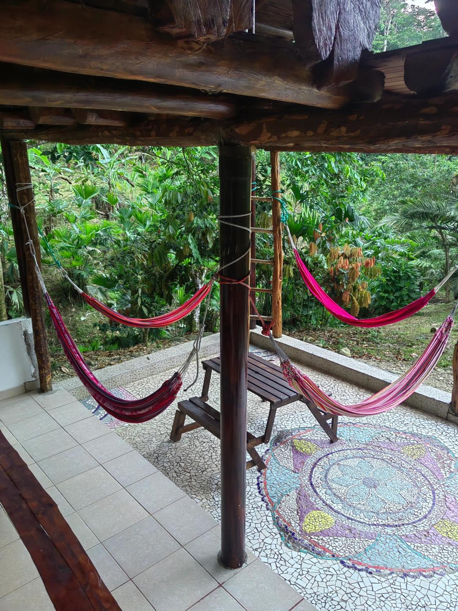 Wisdom Forest Lodge Tena Luaran gambar
